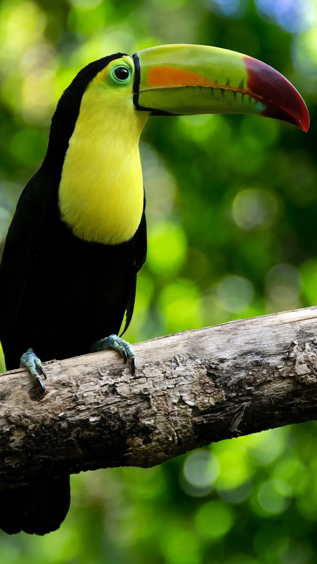 A moment from the Costa Rica retreat