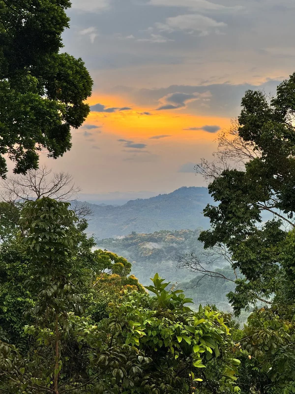 A moment from the Costa Rica retreat
