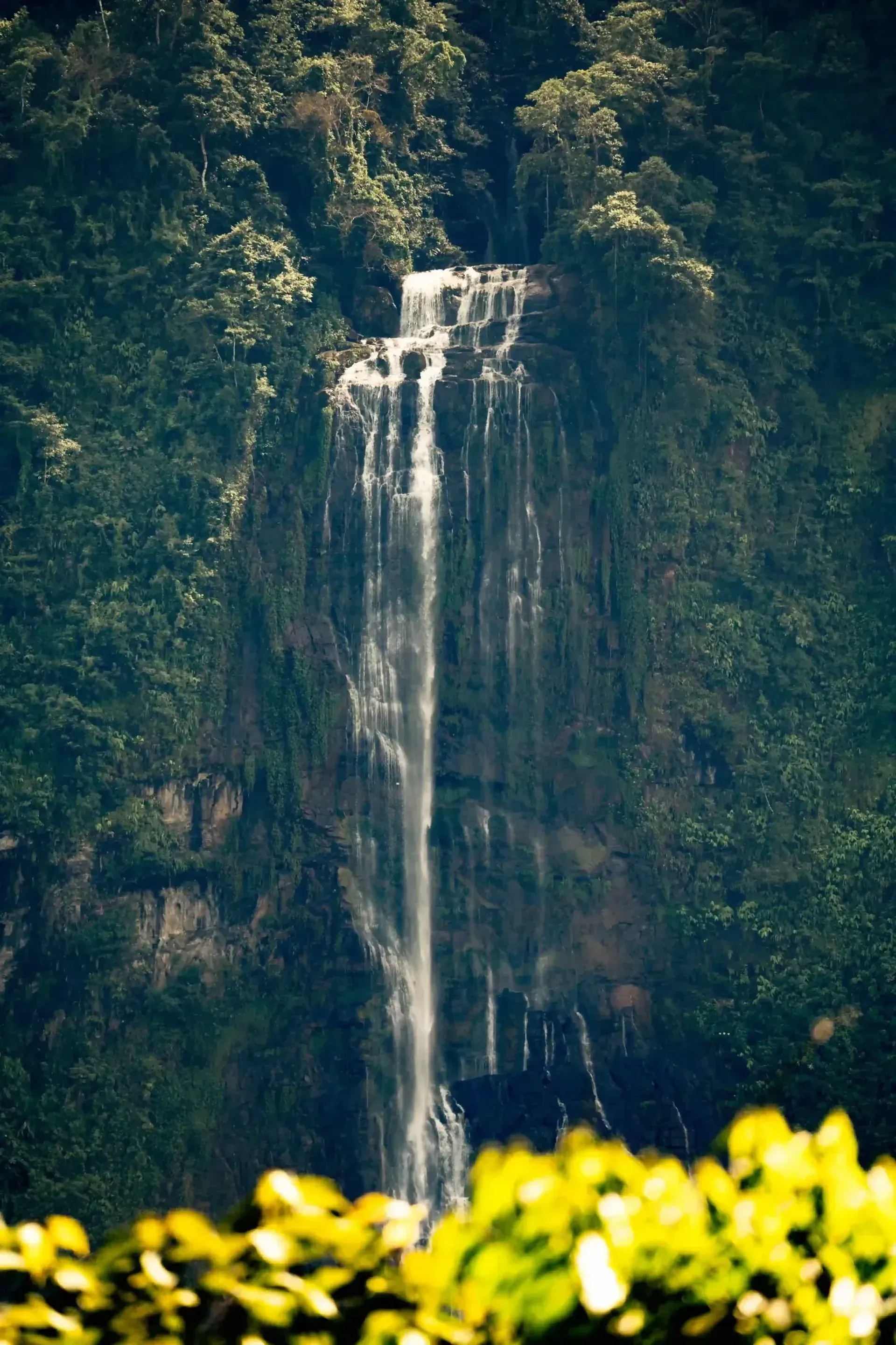 An adventure through the Costa Rica jungle