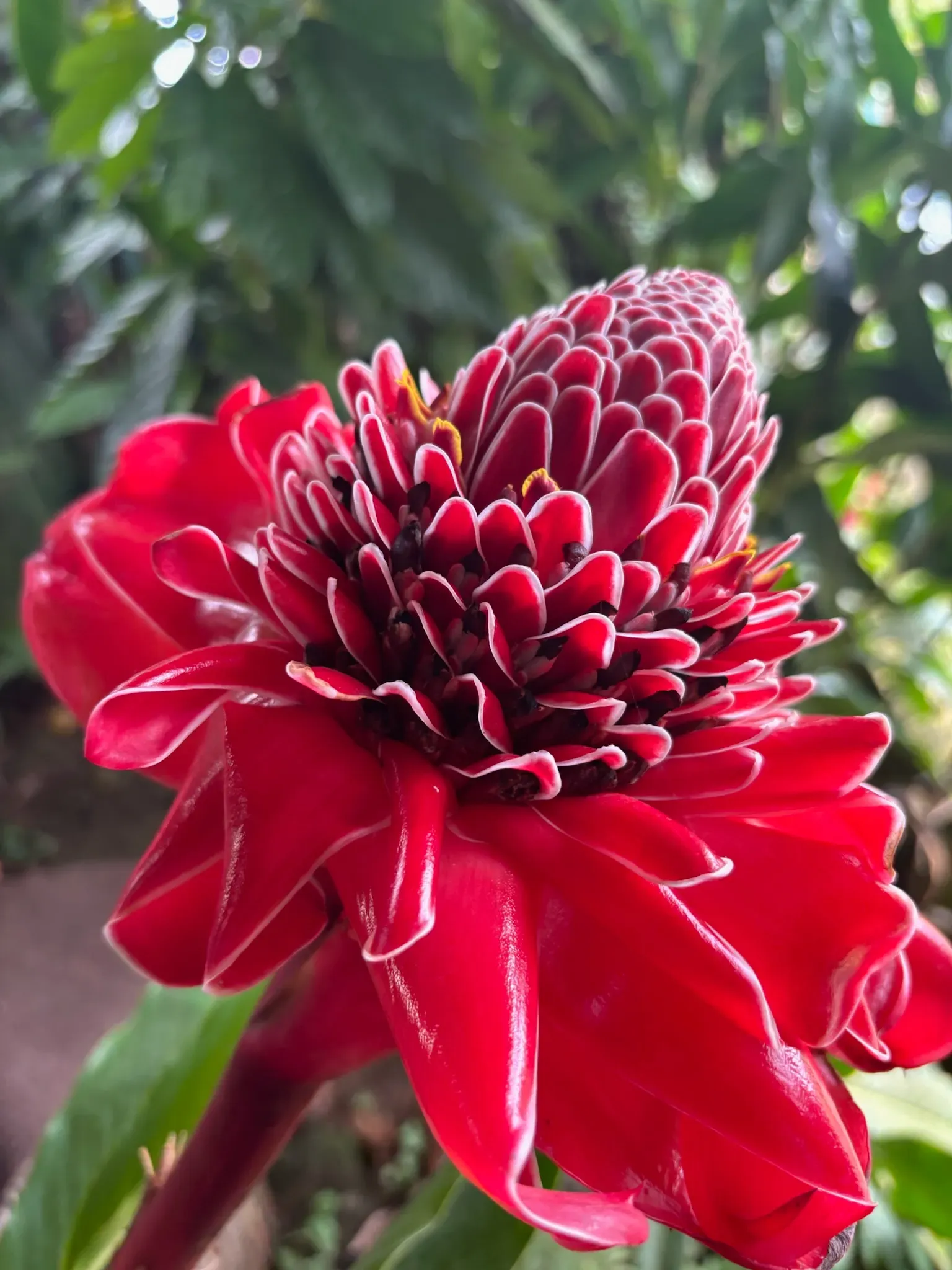 A moment from the Costa Rica retreat