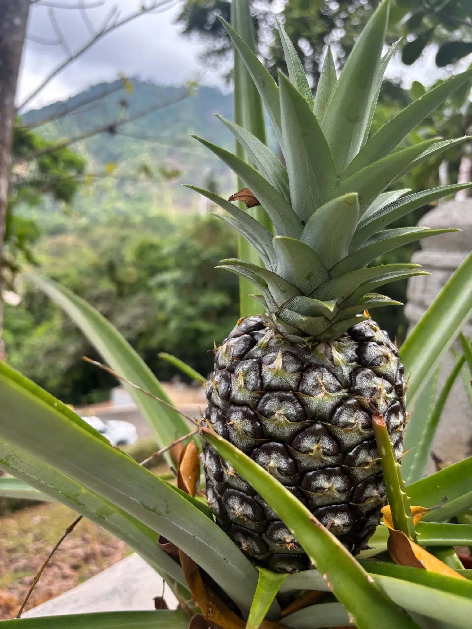 A moment from the Costa Rica retreat