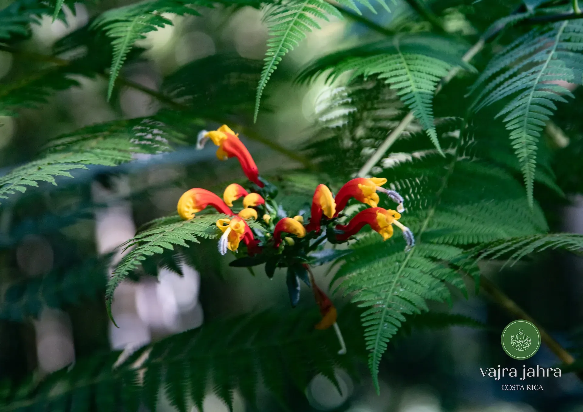 A moment from the Costa Rica retreat
